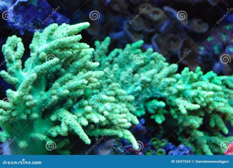 Bright Green Abstract, Blurred Background For Design. Stock Image ...