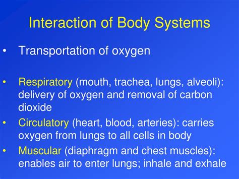 Body System Interaction Chart 的图像结果