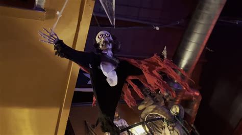 Snug Harbor, Charlotte - Menu, Reviews (211), Photos (51) - Restaurantji