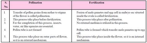 Sexual Reproduction In Flowering Plants - Free NEET Biology Notes