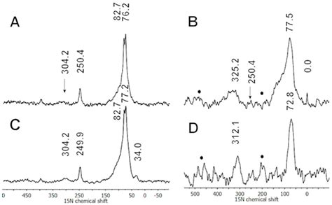 The Applications of Solid-State NMR to Conducting Polymers. The Special ...