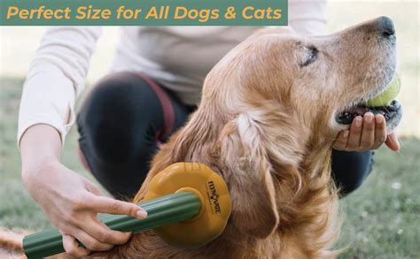 Buy Flynovate Self Cleaning Dog Comb & Cat Comb - Pet Hair Remover ...