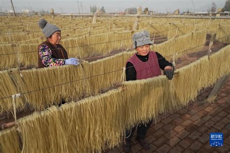 河北遵化：传统手工粉条加工富农家-新华网