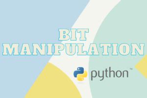 Image result for Python Bit