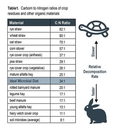 Carbon:Nitrogen — A Plant Diversity Company