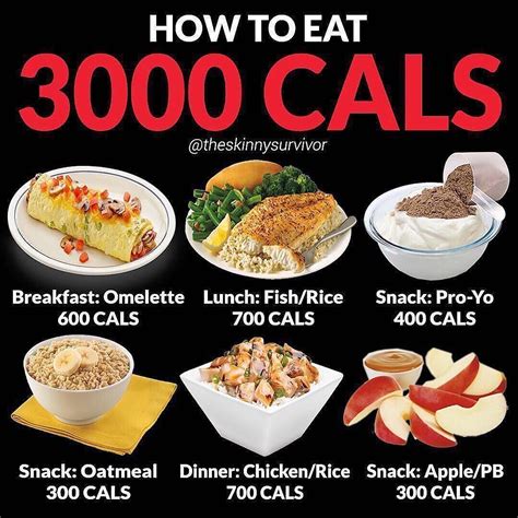 3000 Calorie Meal Plan To Gain Muscle