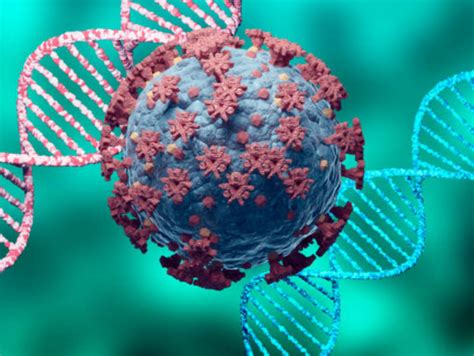 COVID Symptoms : COVID cases linked to Arcturus on rise; THESE are the ...