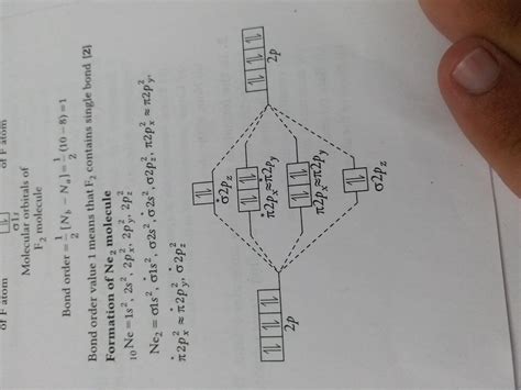 [Expert Verified] using MOT find out the bond order of Ne2 - Brainly.in