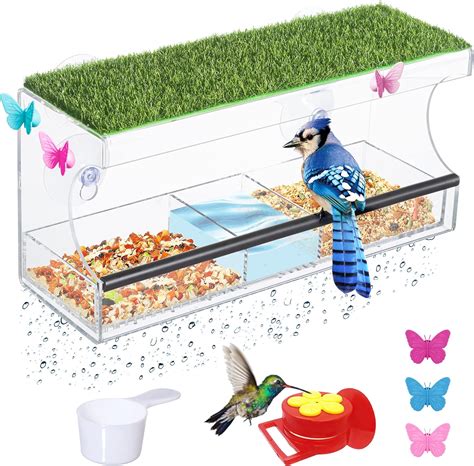 Window Bird Feeder with Strong Suction Cups, Seed India | Ubuy