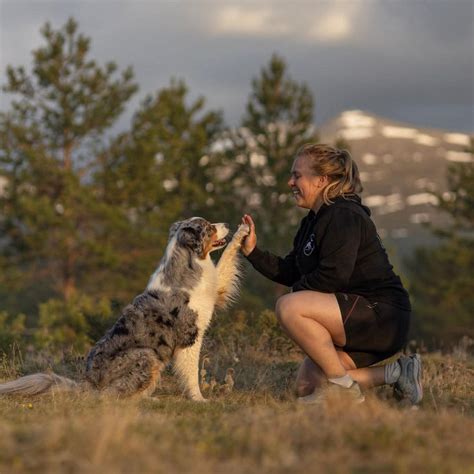 Nybegynnerkurs i Nosework med Kristine Sverdrup ! - Fullt med hund ...