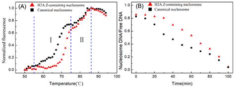 Competitive Chemical Reaction Kinetic Model of Nucleosome Assembly ...