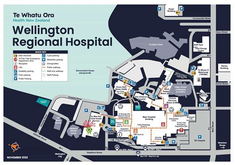 Wellington Hospital New Zealand Jobs at Geraldine Raposo blog
