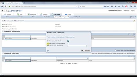 Image result for Administrator Informatica