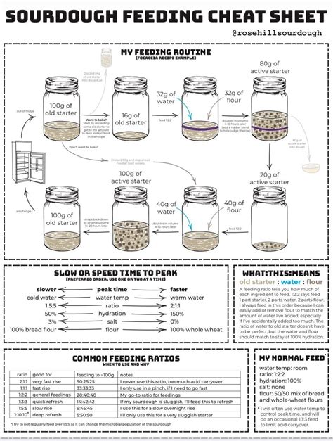 Sourdough Feeding Chart