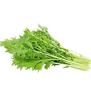 Deep Rooted Mizuna Greens, 150gm : Amazon.in: Grocery & Gourmet Foods