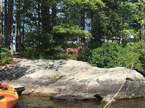 Lake Pemaquid Campground Pool: Pictures & Reviews - Tripadvisor