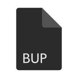Image result for BUP File Format