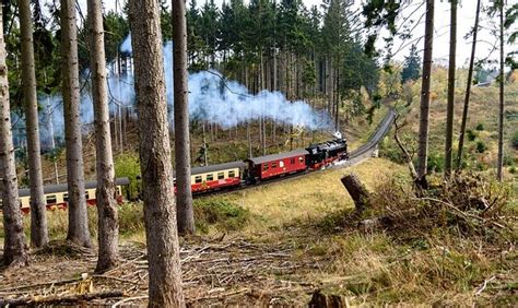 Harzer Schmalspurbahn Grund für Waldbrände | TN-Deutschland