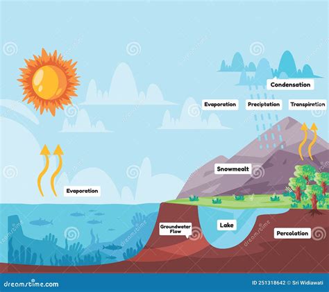 Water Cycle Process Water Evaporates To Atmosphere Condenses into Rain in Clouds and Falls ...