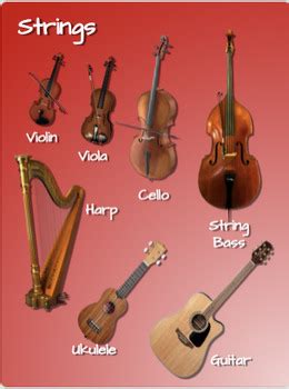 Image result for Stringed Instruments