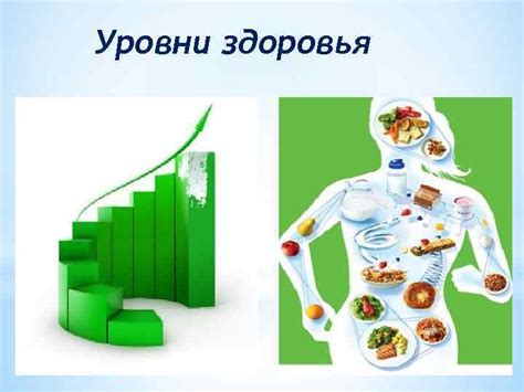 Понятия — здоровья болезни нормы и патологии Работу