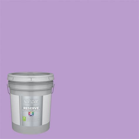 Valspar Reserve Eggshell Purple Gala 4002-10a Latex Interior Paint ...
