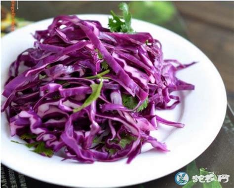 紫甘蓝的做法怎样做好吃（紫甘蓝的6种家常做法大全） - 爱美食