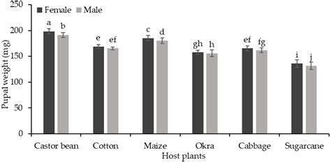 Feeding and Growth Response of Fall Armyworm Spodoptera frugiperda ...