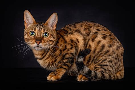 Radio10 Listen Live - 87.6 MHz FM, Kigali, Rwanda | Online Radio Box