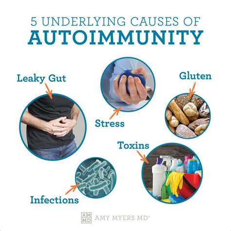 Immune Disorders Infographic Pdf