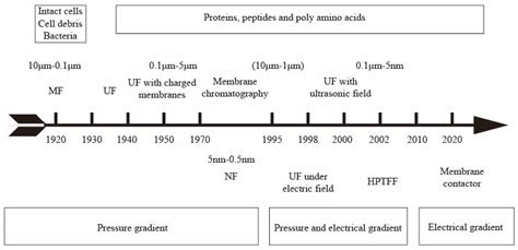 Improved Protein Removal Performance of PES Hollow-Fiber ...