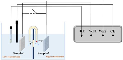 Research Progress of Macrocell Corrosion of Steel Rebar in Concrete