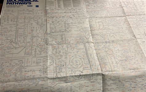 Biochemistry 的图像结果