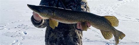 Northern and Bass Hourly Derby, W5884 Cedar Ct., Shawano, WI, 4 January ...