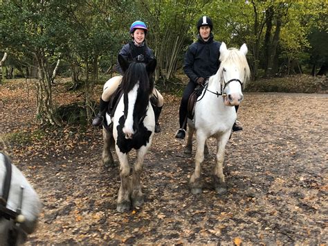 4 SEASONS FOREST RIDES - All You Need to Know BEFORE You Go 2026 (with ...