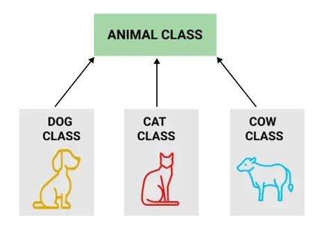 Image result for Single Inheritance in Java Animal Example