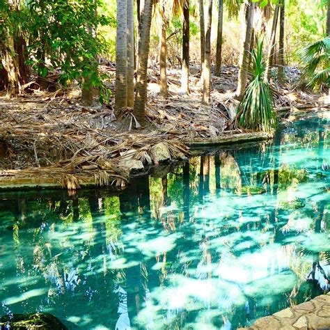 MATARANKA THERMAL POOL (2026) All You Need to Know BEFORE You Go (with ...