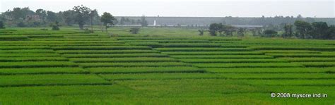 How to reach Balmuri and Edmuri?