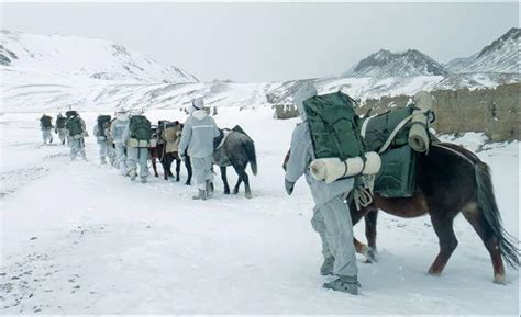 ITBP promotes 64 head constables of Animal Transport cadre to ASI