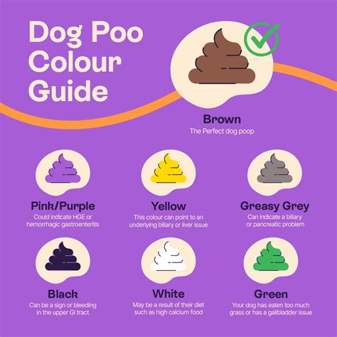 Dog Poop Color Chart | What's Normal? | Pet Drugs Online