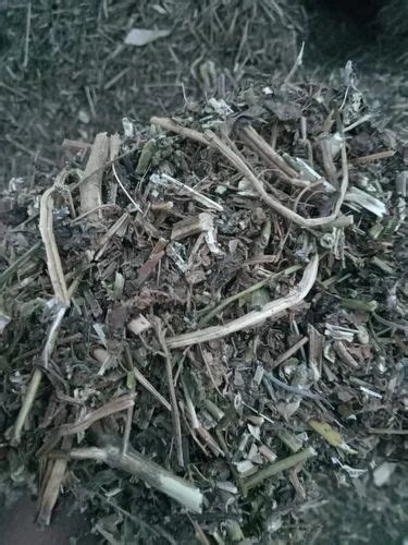 Samridhi Herbs - Trader - Retailer of Herbal Leaves & Dry Seeds from ...