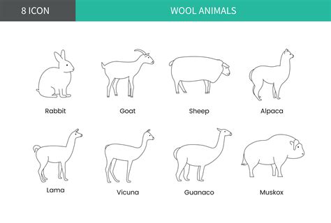 Image result for Wool Animals