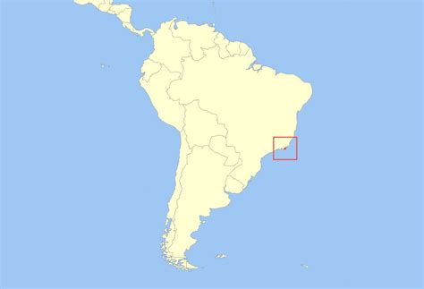 Golden Lion Tamarin Facts