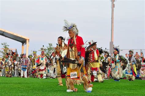Scholarships for Tribal Colleges: How to Apply & Qualify