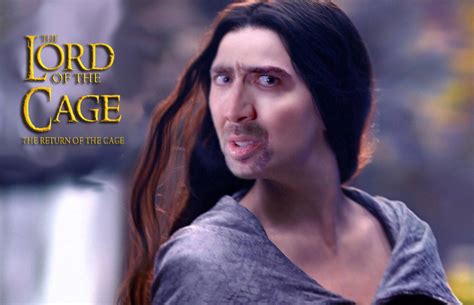 [100+] Nicolas Cage Meme Wallpaper | Wallpapers.com