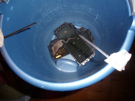 Electronic Mouse Trap Homemade 的图像结果