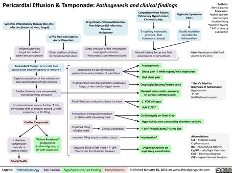 How To Manage Cardiac Tamponade at Jesus Jacobs blog
