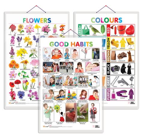 Set of 3 Flowers, Colours and Good Habits Early Learning Educational ...