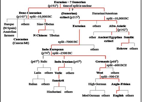 Image result for Language Tree Chart