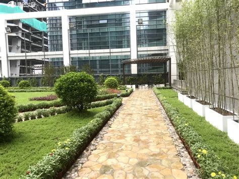 楼顶绿化商业建筑效果图图片__编号9783563_红动中国